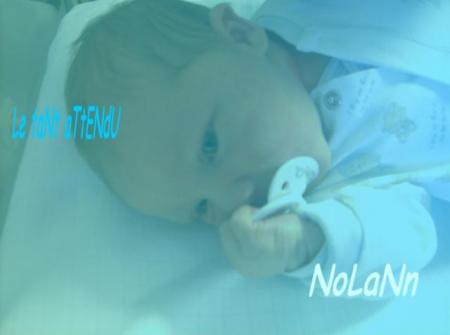 nolann 